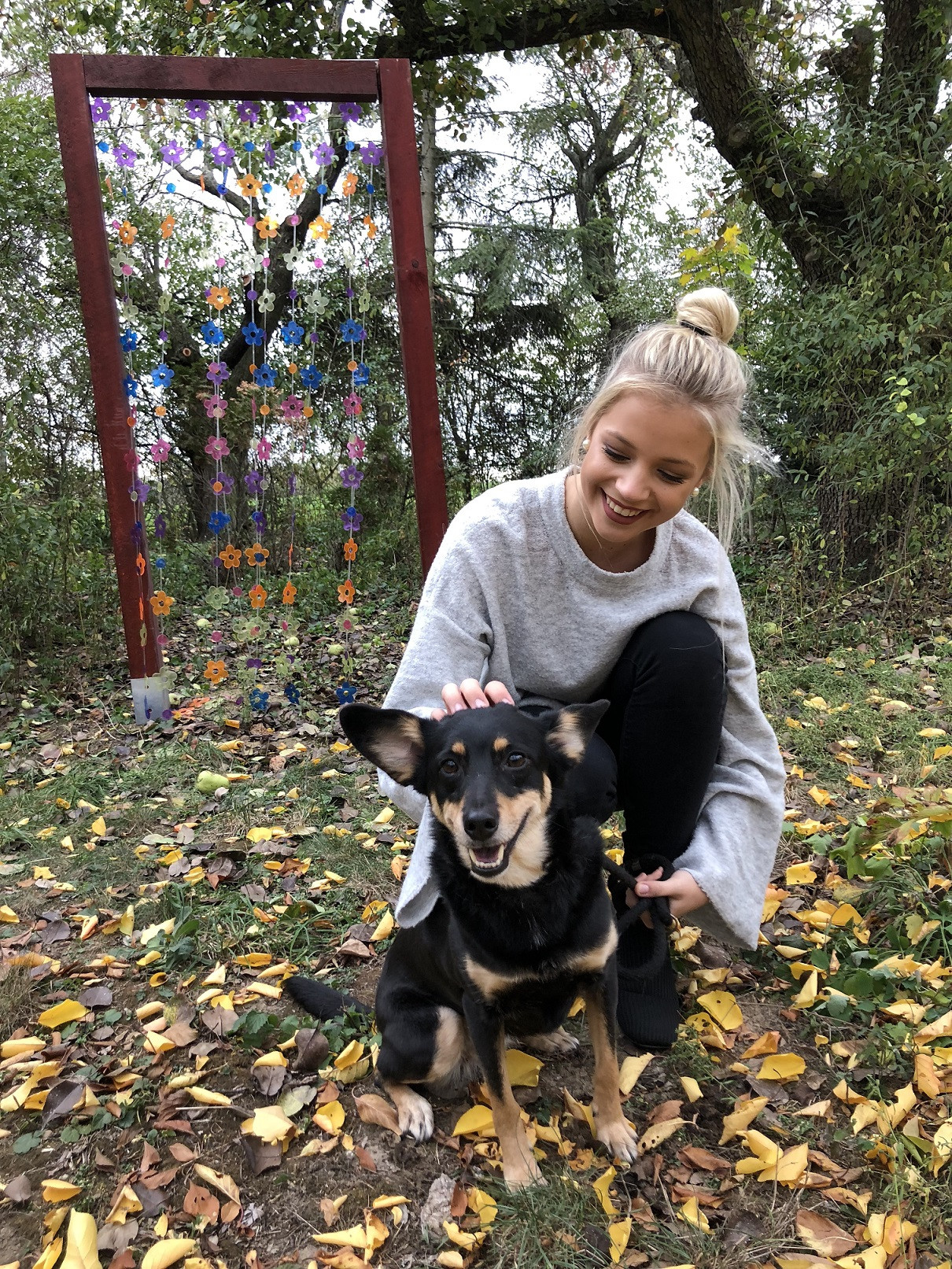 Tlapky na cestě, nezisková společnost